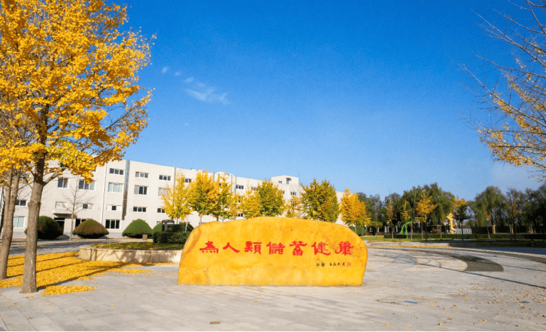 新商业头条报道罗麦科技向新出发加速培育新质生产力