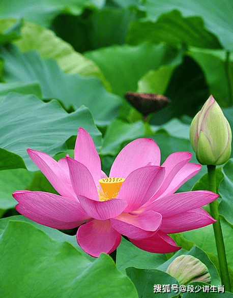 原创4月份开始吉星庇佑4属相贵人相助机遇不断生活锦上添花