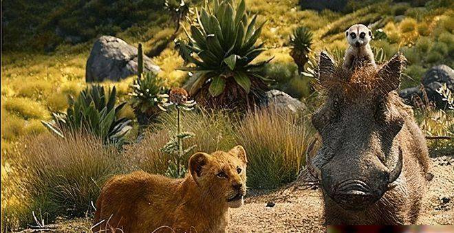 原创狮子王的成长需要独揽一面对抗风雨更要学会尊重自然规律