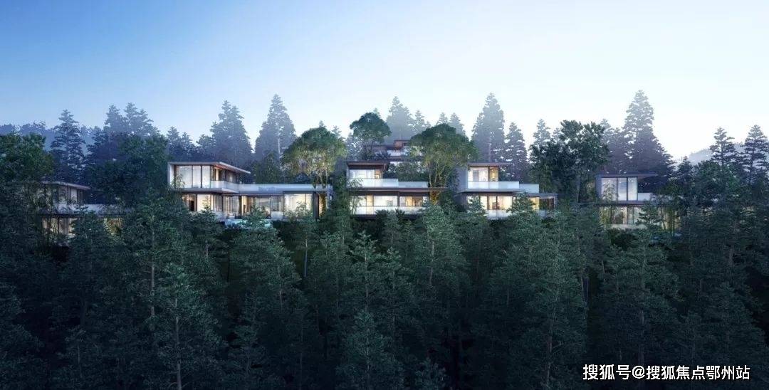 萧山天域开元天空之墅楼盘详情!位置地址!