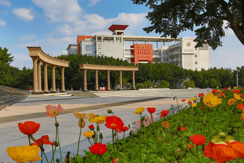 西南政法大学三个校区图片