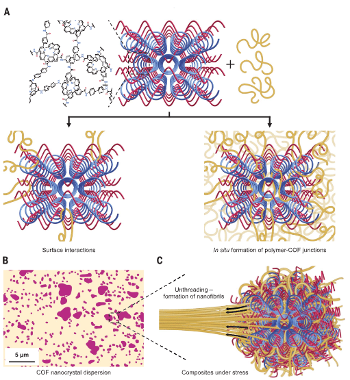 science:聚合物