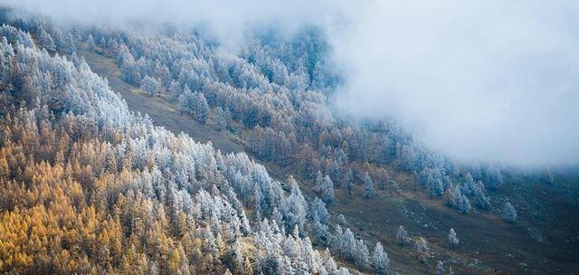 阿尔泰山古代中国黄种人与白种人的分界由此向西中国始有白人