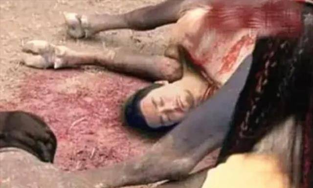 原创大将中箭将死成吉思汗快把他塞进牛肚不久后大将起死回生