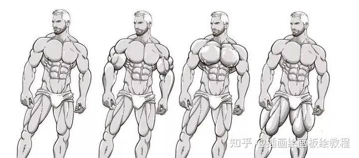 人体肌肉的正确画法教程!