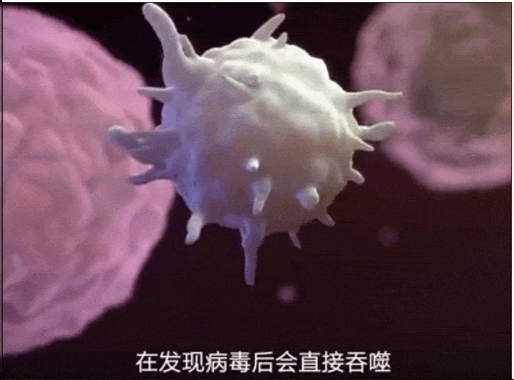免疫细胞是应对不同疾病的"活药",攻克"癌症"和"传染病"可