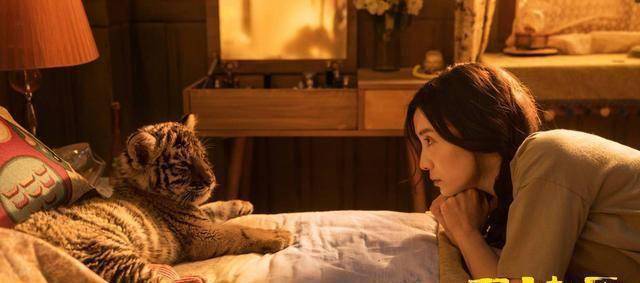 原创阳光劫匪全是老梗商业片煽情格格不入浪费马丽宋佳演技