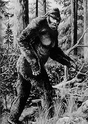 神农架野人什么时候发现的他们有什么特征他们会攻击人吗