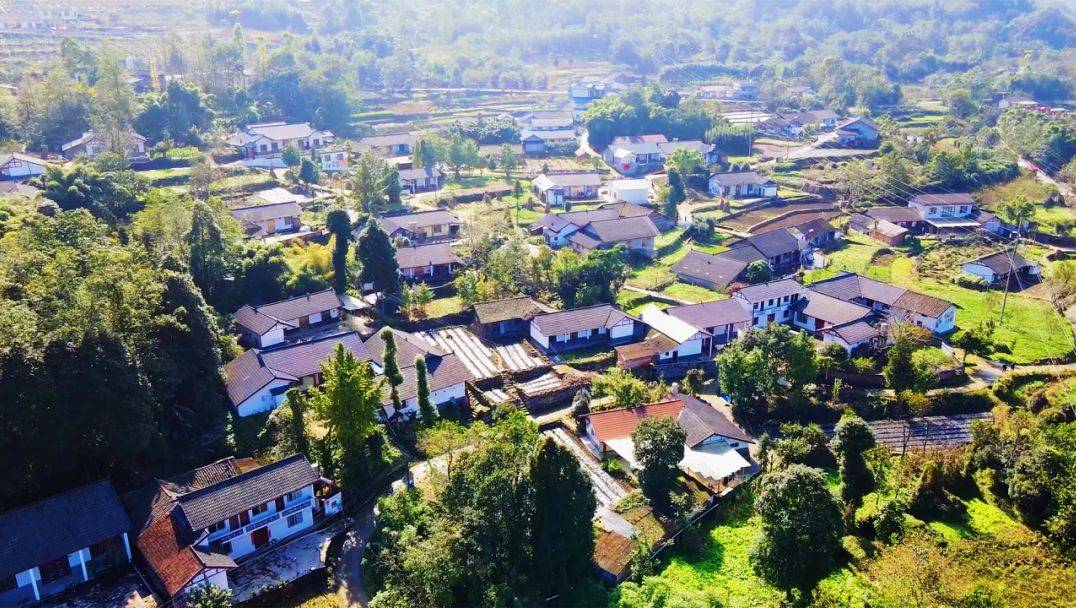 你可以永远相信乐山乡村的春天!_峨眉山_荔枝_导航