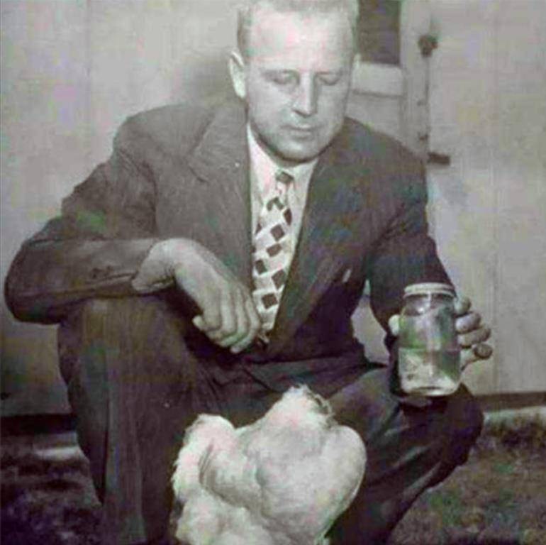 原创无法复制的无头鸡全国巡演月赚4500美元18个月后死于意外