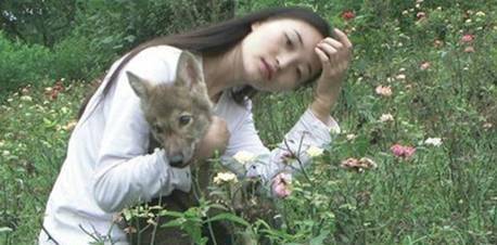 原创李微漪中国第一狼女十年前卖房救狼养狼十年后与狼再次相逢