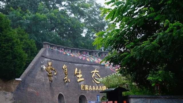 提前开启赏春模式!与其拥抱诗和远方,不如就近捕捉春意!_野菜_永寿县_