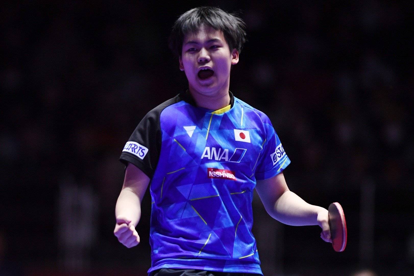 樊振东击败松岛辉空陈梦击败帕瓦德王曼昱击败米特兰姆