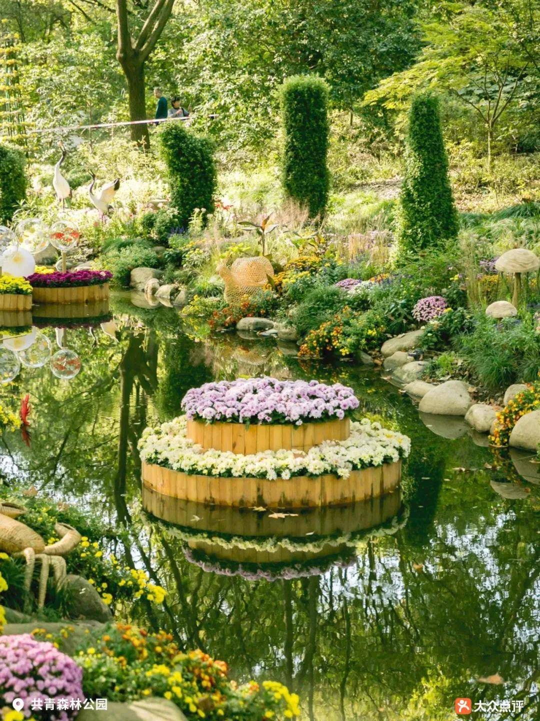 申城明日气温飙升一日两季上海赏樱攻略来了错过等一年