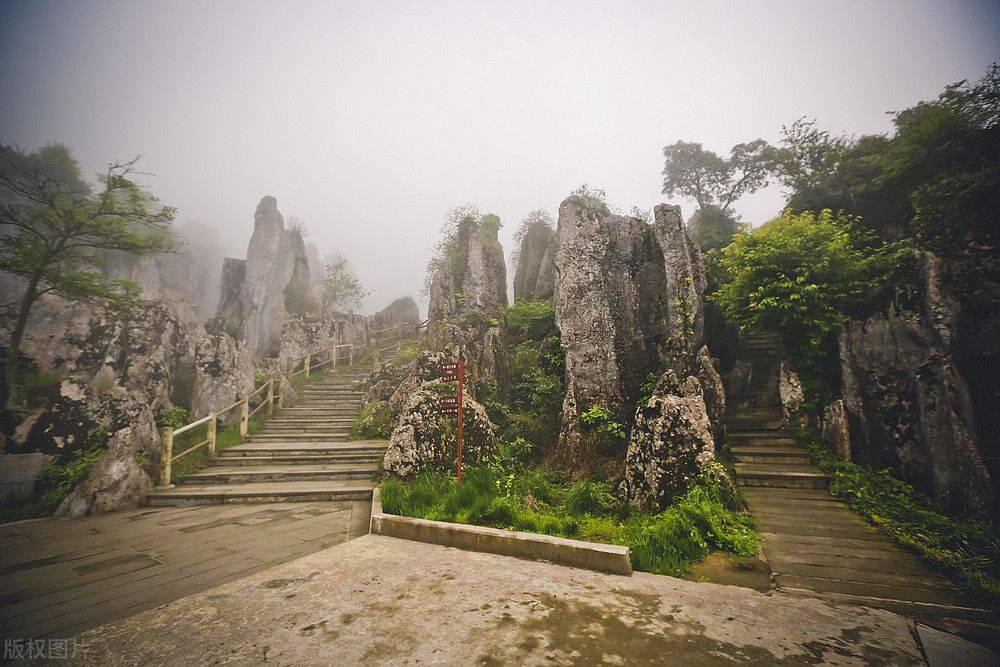 华蓥山石林景区电话图片