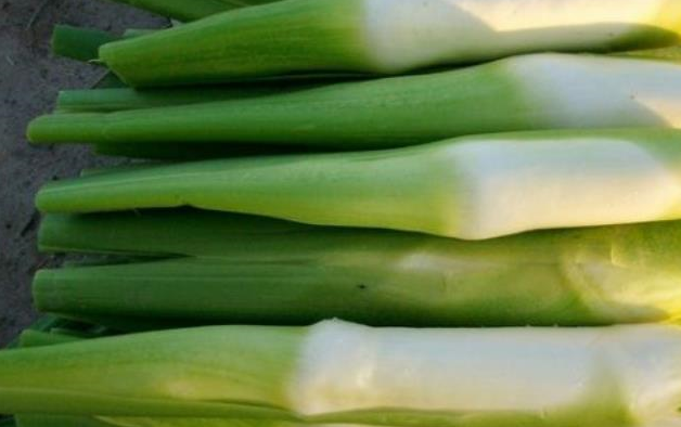 中国_物产_茭白