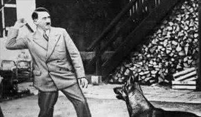 爱娃·布劳恩_德国_战场