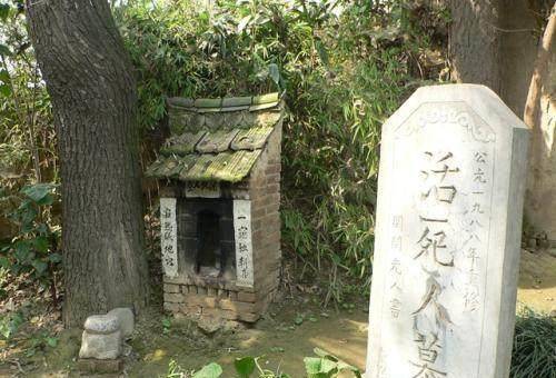 大连老麻沟山林墓地图片