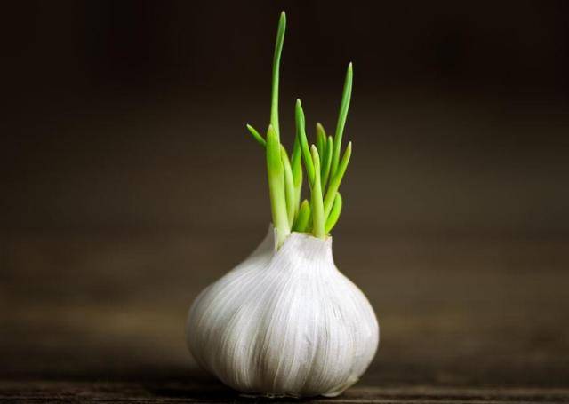 原创长期吃大蒜的人身体后来怎么样了医生3种结果或会等着