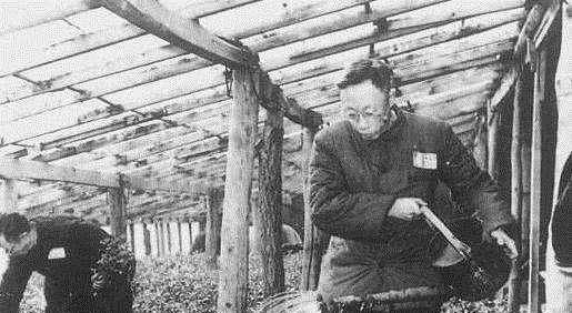 原创1945年溥仪被俘苏军是如何知道溥仪坐飞机出逃行踪的