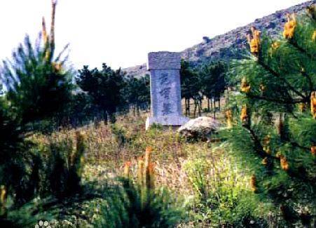 项羽肯听他一句,刘邦必死无疑,历史必定改写_范增_项梁_公元前