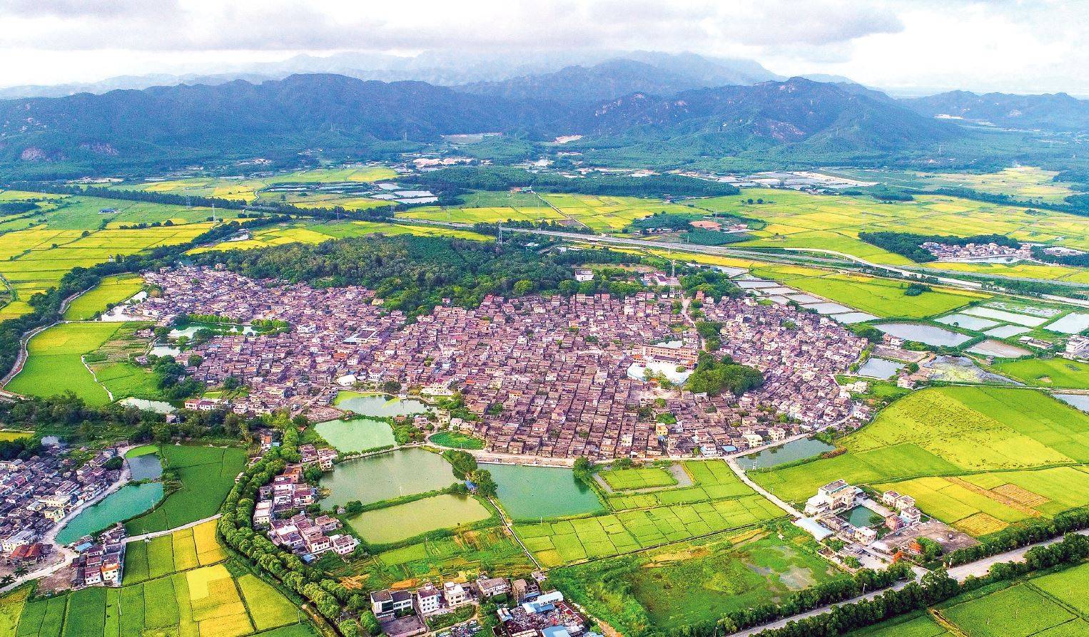 乡村振兴风景图片