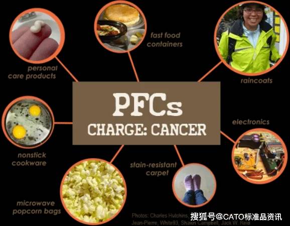 全氟化合物(PFCs) | 持久性有机污染物的"顽疾"-全氟化合物用途及作用机理