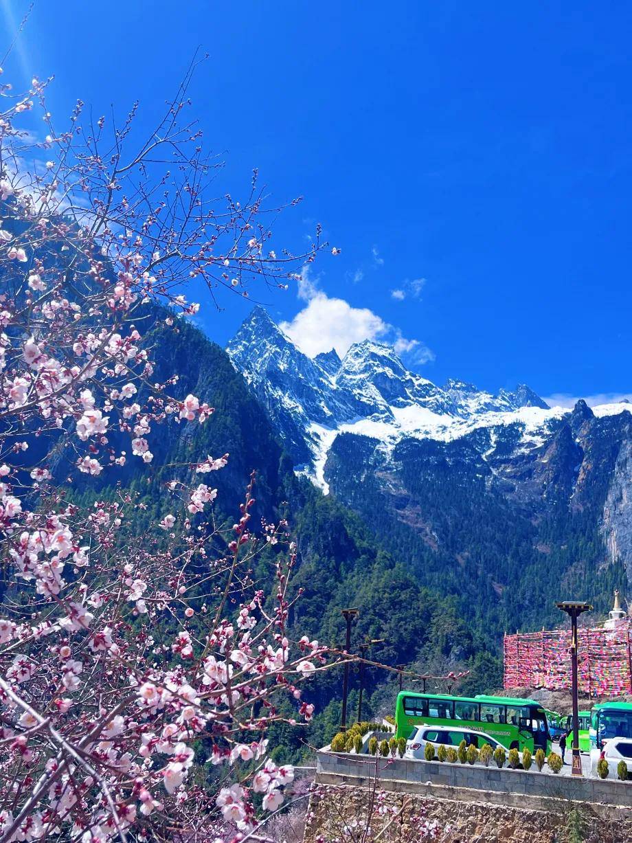 雪山_桃花_佛塔