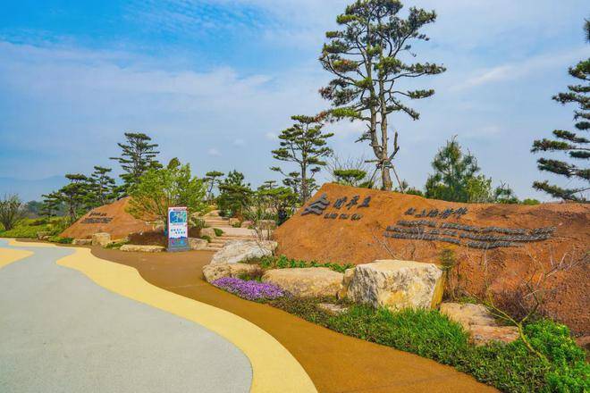 无比惊艳!_建设_平台_植物