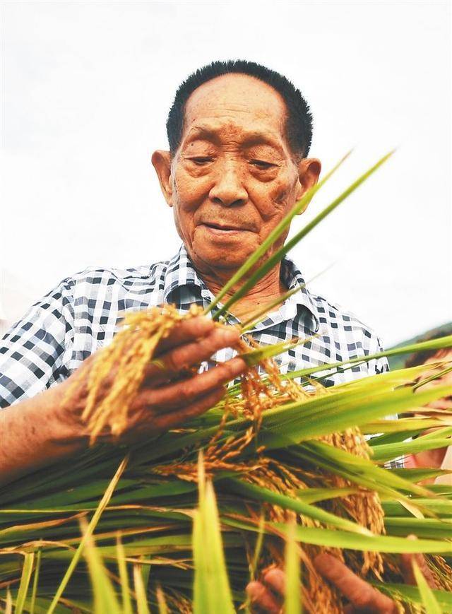 袁隆平一年工资才七万块,生活开支够花吗?其实他的身价已超千亿