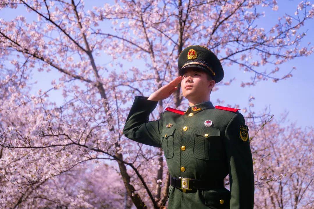 军队文职备考壁纸这不就有了?多图预警!_军营_景象_气息