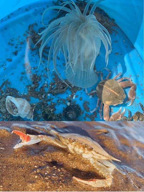 青岛五日游跟团多少钱青岛当地旅游团报价青岛5日游大概多少钱