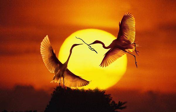 原创他一生隐逸不仕不娶却写下一首最美的爱情词惊为天人