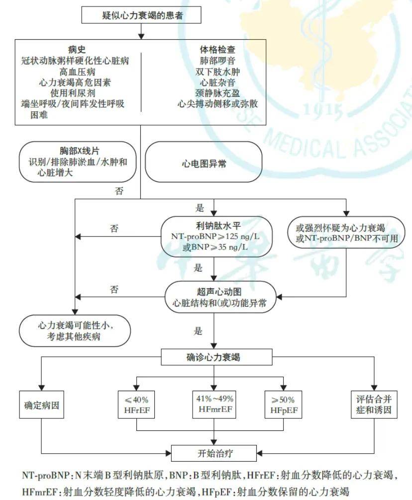 指南在心衰的诊断流程图方面进行了优化