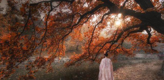 了当地的一个叫云英的歌妓,年轻貌美,歌舞俱佳,两人成为好友,惜惜相