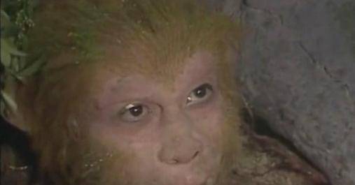 研究新发现孙悟空的孩子是葫芦娃孙悟空还被葫芦娃虐待过