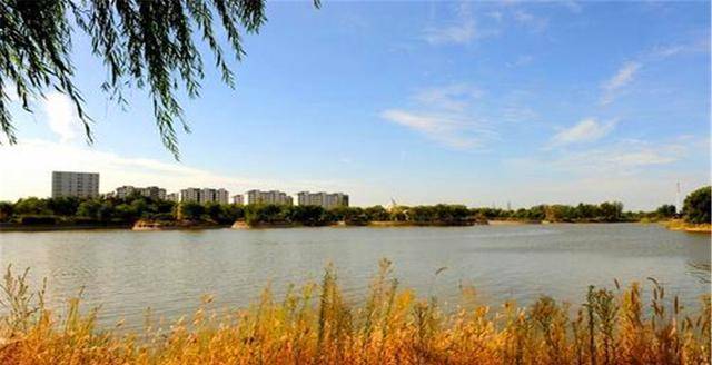 山东不起眼的小县,竟有25个民族杂居,还入选全国"幸福百县榜"_高青县