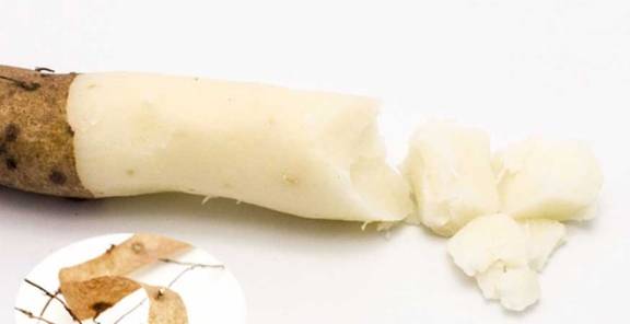 铁棍山药它其貌不扬却凭借内涵走红全国享誉世界