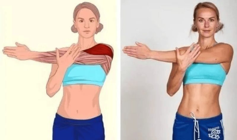 正确合理地拉伸,让你健身效果翻倍_肌肉_要点_身体