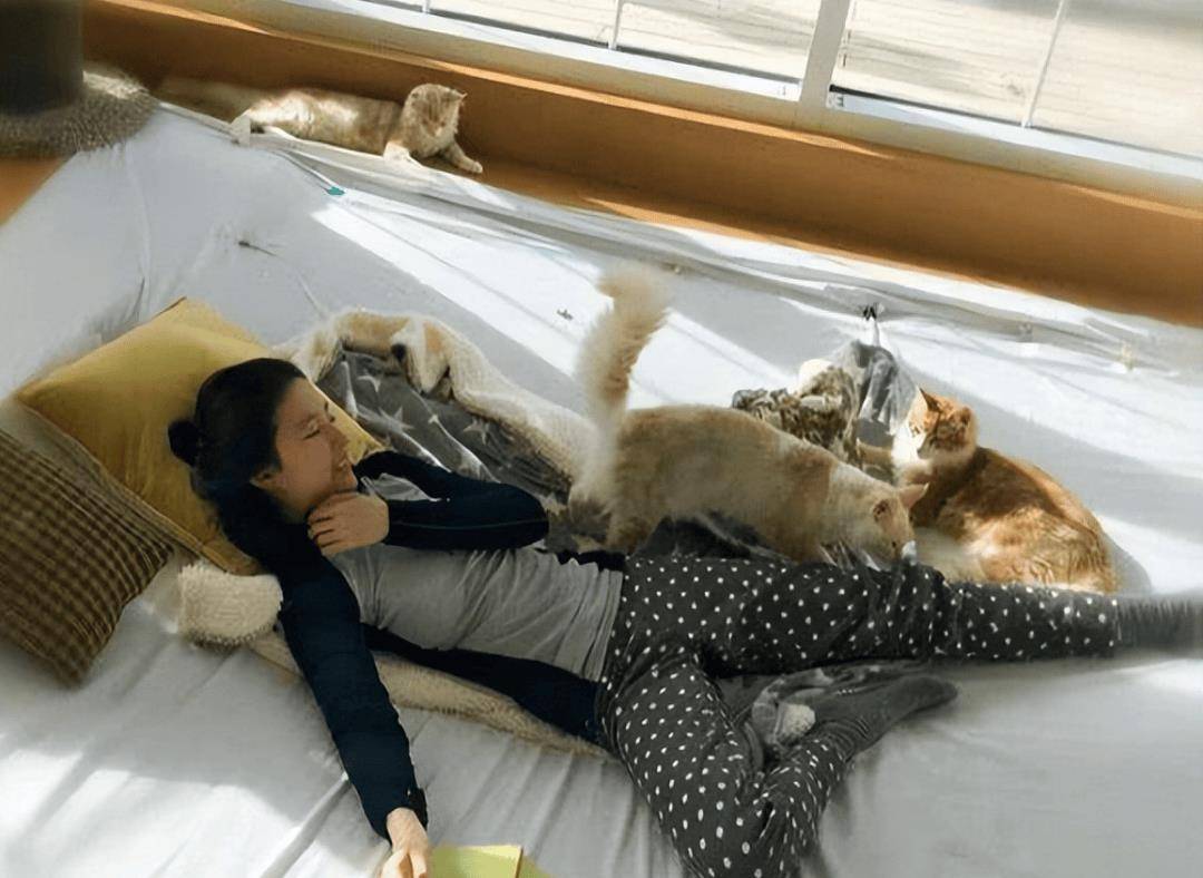 原创35岁刘亦菲的豪宅火了全屋奢华大方没有一丝俗气真高级