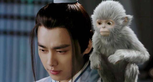 不知道影片中这只用真猴子饰演的角色,会不会就是《青云志》中传说的