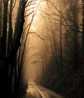 这些心声在试图告诉你,你不是站在泥潭中的唯一一个人,让我们共同去