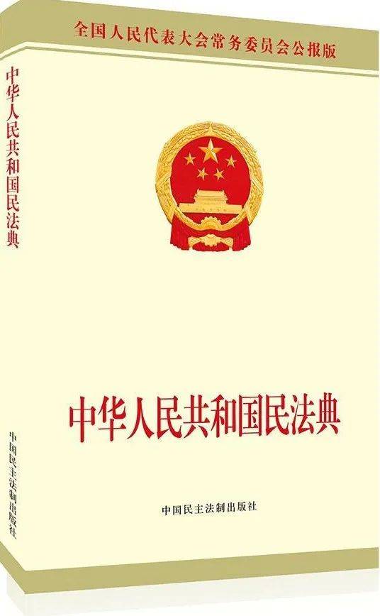 《中华人民共和国民法典》囿于文字篇幅