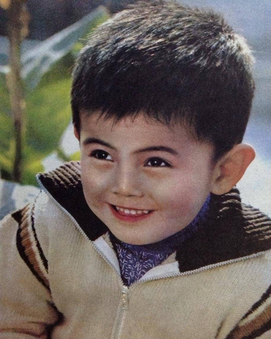 部优秀奖,并在意大利,葡萄牙,印度等国家获奖,童星的他彻底红遍海内外