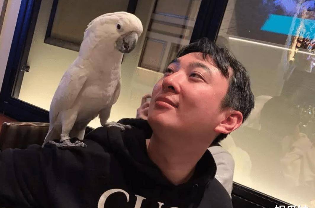 原创原创33岁王思聪举办生日会出海庆生全身潮牌高调张扬疑不惧风波