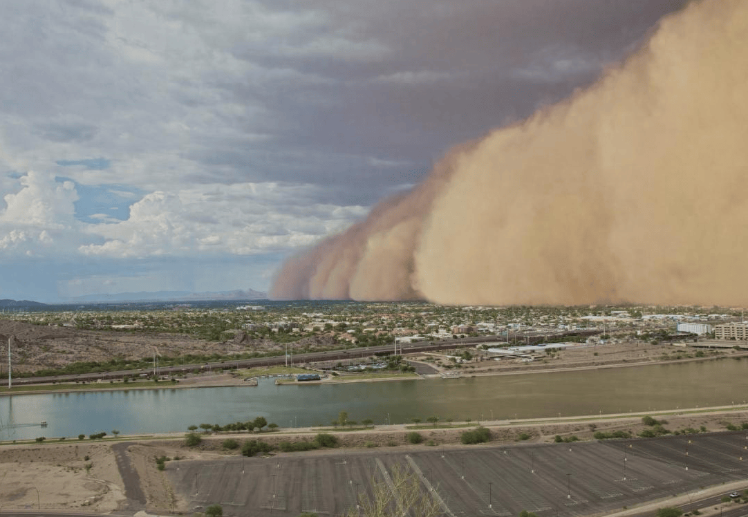 为何蒙古国不治理沙漠?治沙弊大于利,是真是假?_政府_国家_沙尘暴