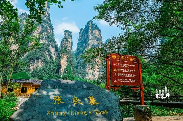 门票没有提前预定,临时订经常订不到,会导致进不了景