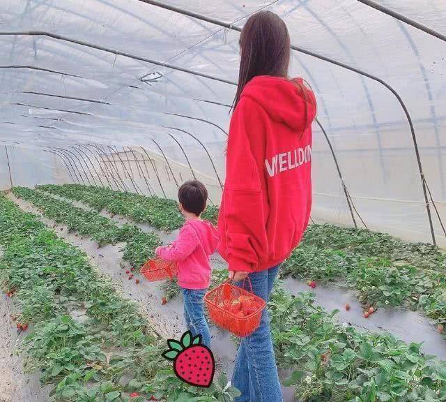 原创angelababy和儿子豪宅院子收菜女神炒菜贤惠素颜出镜眼袋深