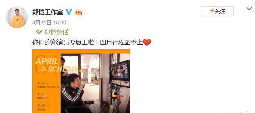 原创苗苗被曝孕肚照后郑恺工作室终于更新动态内容让粉丝沸腾