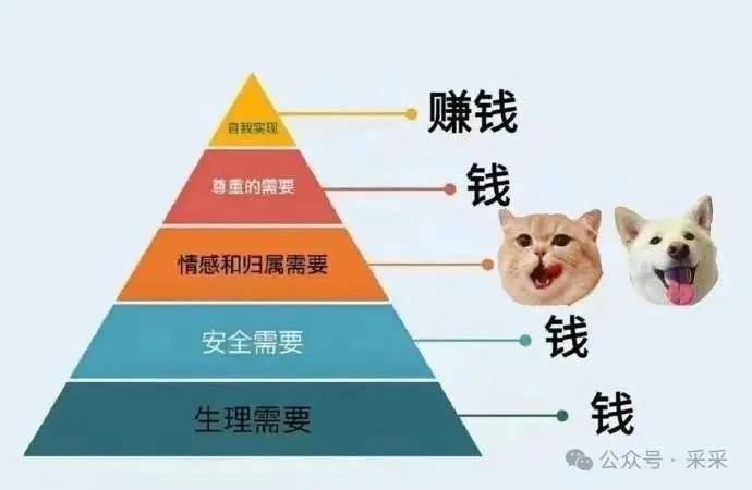 客户需求对比搞笑图图片